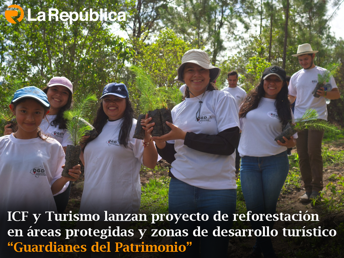  ICF y Turismo lanzan proyecto de reforestación en áreas protegidas y zonas de desarrollo turístico “Guardianes del Patrimonio” - Cover Image